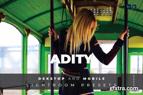 Adity Desktop and Mobile Lightroom Preset