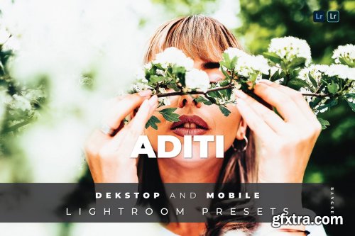 Aditi Desktop and Mobile Lightroom Preset