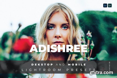 Adishree Desktop and Mobile Lightroom Preset