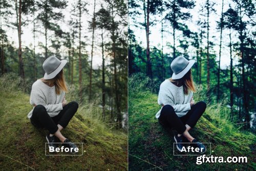 Adishree Desktop and Mobile Lightroom Preset