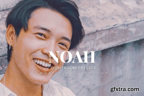 Noah Lightroom Presets Dekstop and Mobile