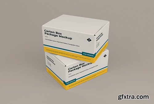 Cardboard box mockup 2