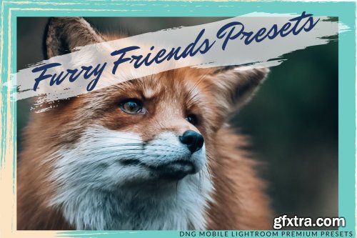 CreativeMarket - FURRY FRIENDS MOBILE PRESET 5762535