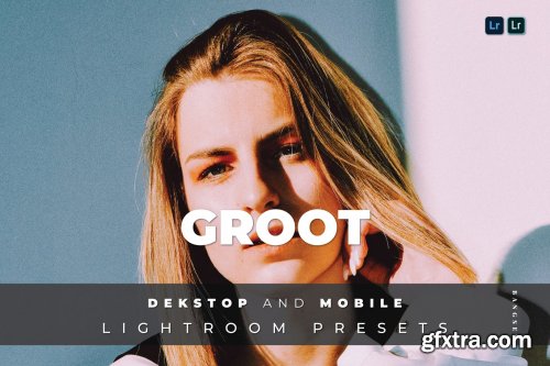 Groot Desktop and Mobile Lightroom Preset