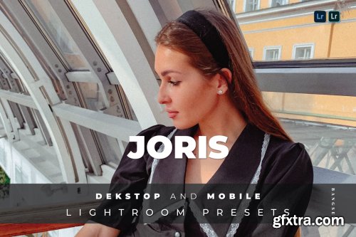 Joris Desktop and Mobile Lightroom Preset