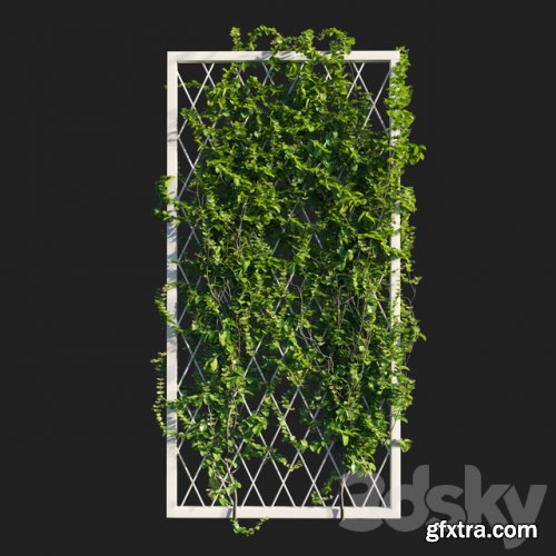 Vines on wall