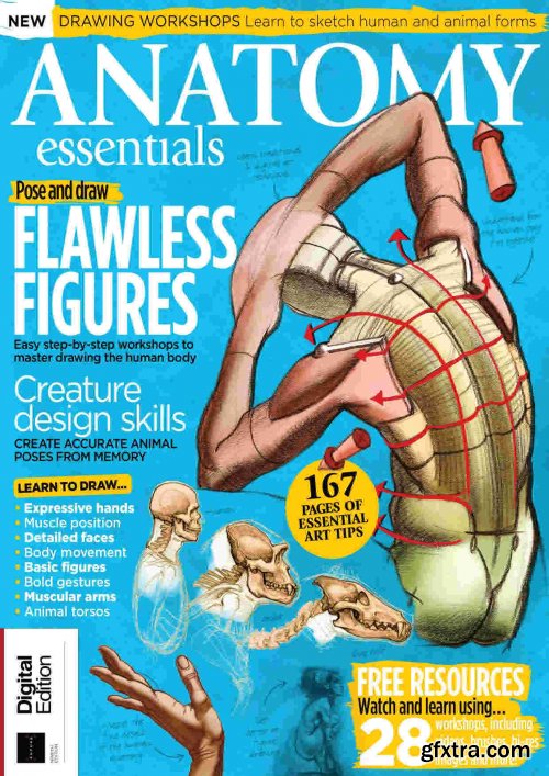 Anatomy Essentials - Ninth Edition, 2020