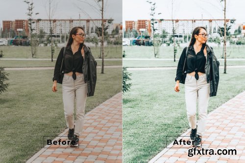 Baka Desktop and Mobile Lightroom Preset