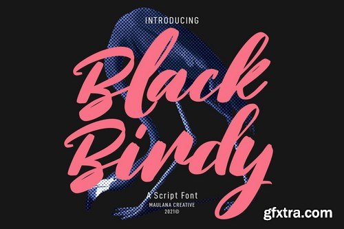 Blackbirdy Bold Script Font