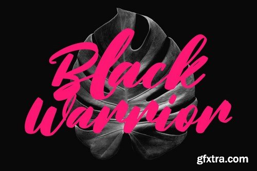 Blackbirdy Bold Script Font