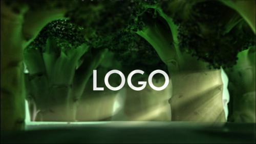 Videohive - Broccoli Logo Opener | Nature, Ecology, Vegetarianism DR - 33275659 - 33275659