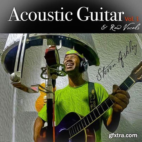 Stock Music Group Steven Ashley Acoustic Guitar and Raw Vocals Vol 1 WAV