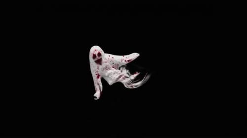 Videohive - 46 Ghost Halloween Dancing HD - 33284604 - 33284604