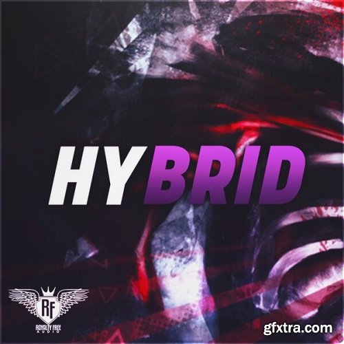 Big Citi Loops Hybrid Hip Hop WAV MIDI