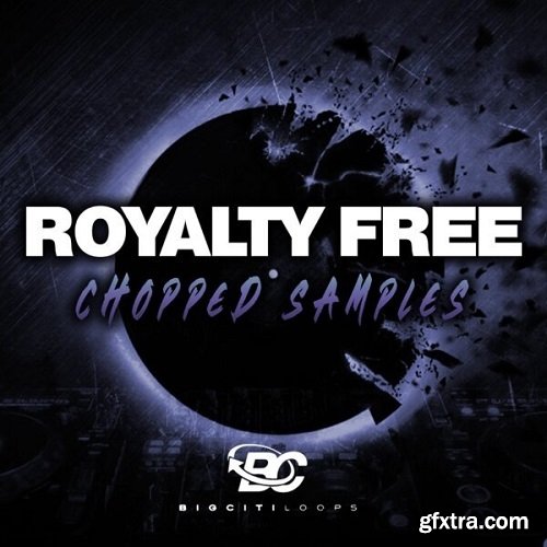 Big Citi Loops Royalty Free Chopped Samples WAV