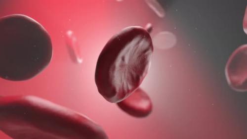 Videohive - Blood Cell Micro - 33286042 - 33286042