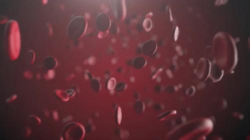 Videohive - Blood Cell Zoom - 33286043 - 33286043