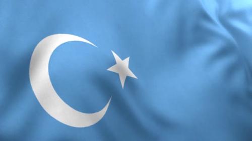 Videohive - East Turkestan Flag / Uyghur Flag - 33291980 - 33291980