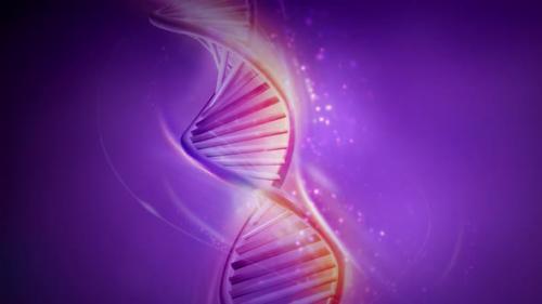 Videohive - Animation Of Rotation Of A DNA Strand 4K - 33310626 - 33310626