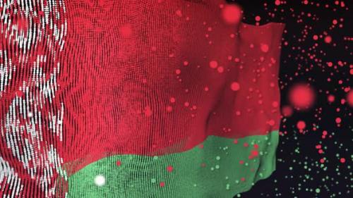 Videohive - Belarus Flag Particle Animation - 33311418 - 33311418