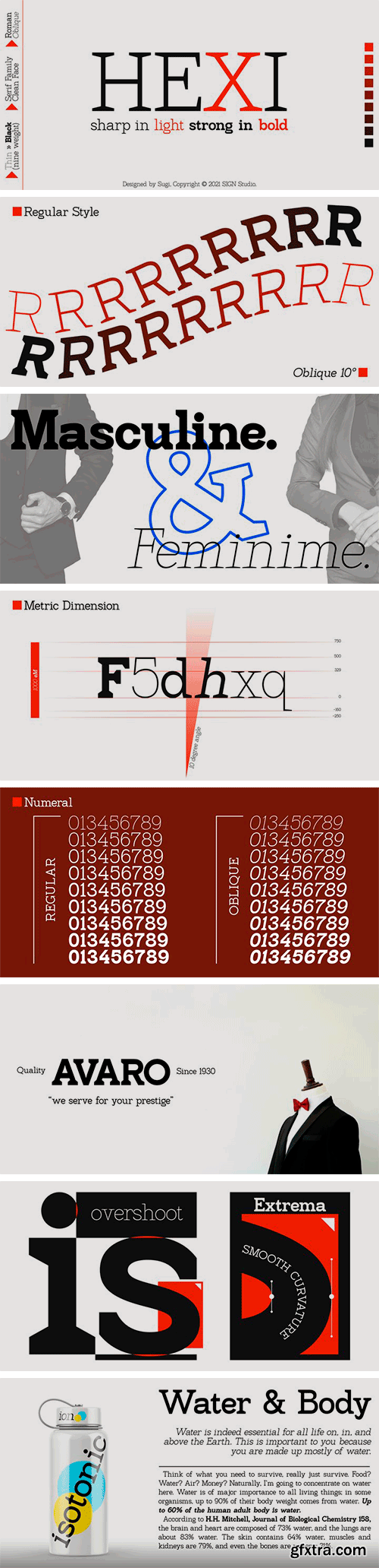 Hexi Font Family