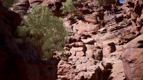 Videohive - Grand Canyon Cliff Tilt Up 4K - 32444767 - 32444767