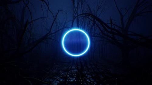 Videohive - Glowing Blue Neon Circle Light In The Dark Forest 4K - 33280482 - 33280482