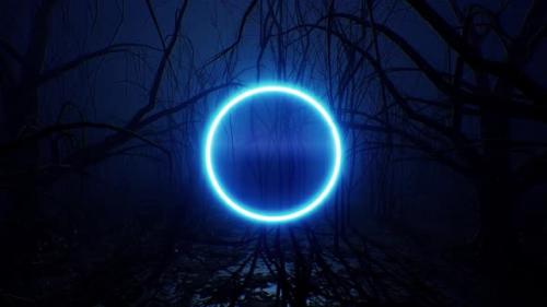 Videohive - Glowing Blue Neon Circle Light in the Dark Forest - 33280586 - 33280586