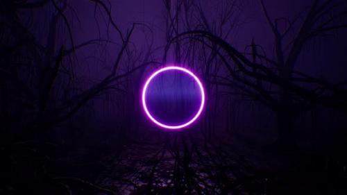 Videohive - Glowing Purple Neon Circle Light in the Dark Forest 4K - 33280971 - 33280971