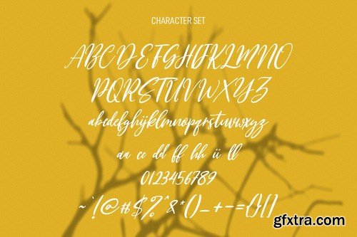 Clifttons Casual Signature Font