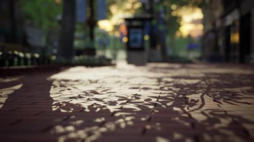 Videohive - Quiet City Park with Trees and Benches - 33326817 - 33326817