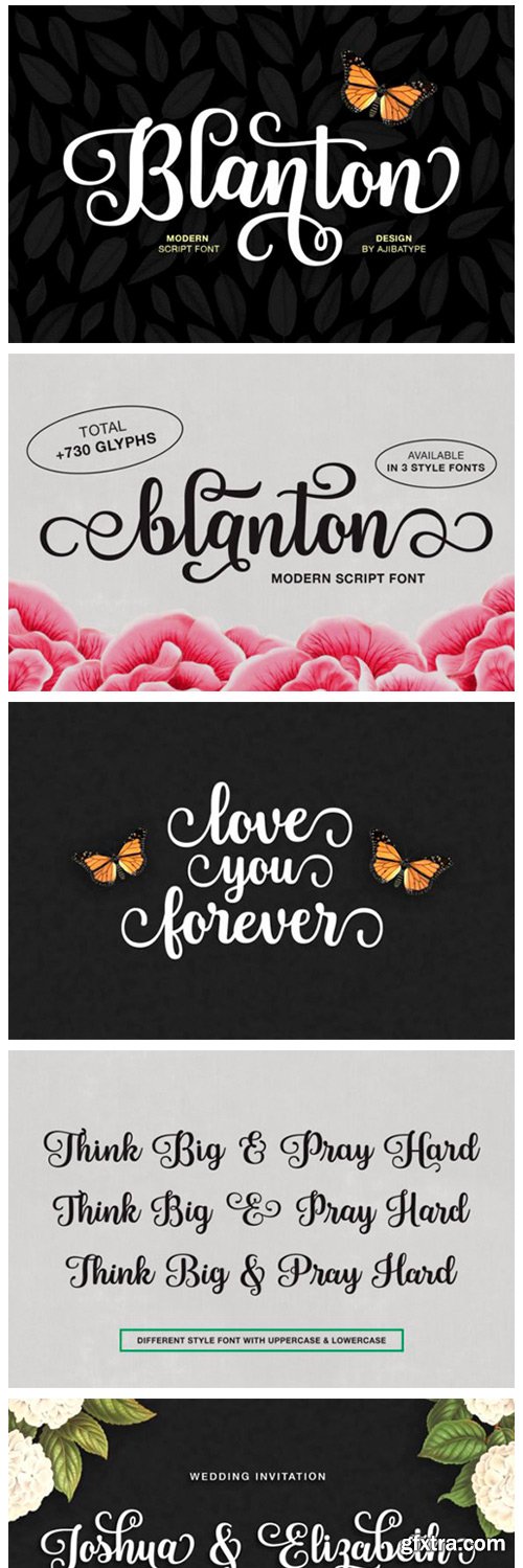 Blanton Script Font