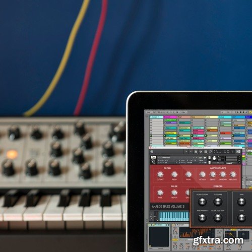 Puremagnetik Analog Bass Vol 3 MULTiFORMAT