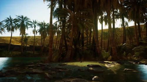 Videohive - Palm Trees in Sahara Desert - 33327050 - 33327050