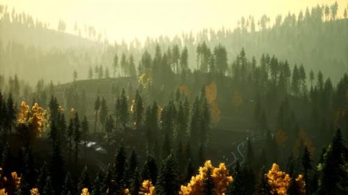 Videohive - Sunlight in Spruce Forest in the Fog on the Background of Mountains at Sunset - 33330770 - 33330770