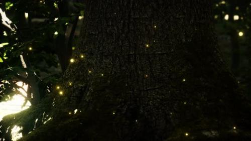 Videohive - Fantasy Firefly Lights in the Magical Forest - 33330781 - 33330781