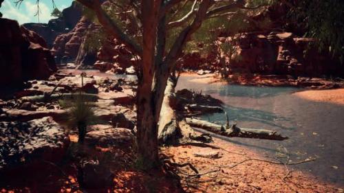 Videohive - Trees Near Colorado River in Grand Canyon - 33330823 - 33330823