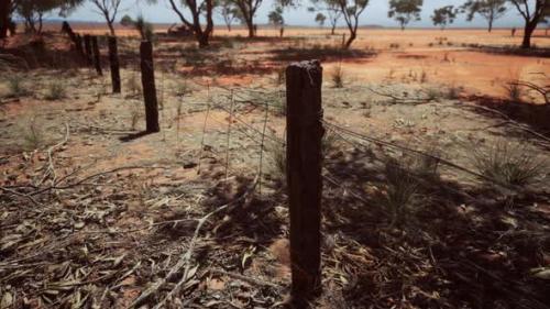 Videohive - Pampas with Barbed Wire Fence and Dry Bushes - 33330854 - 33330854