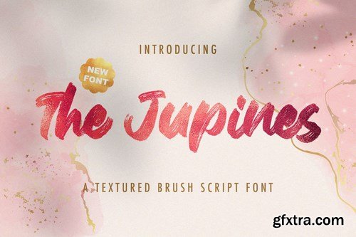 The Junipes - Textured Brush Font