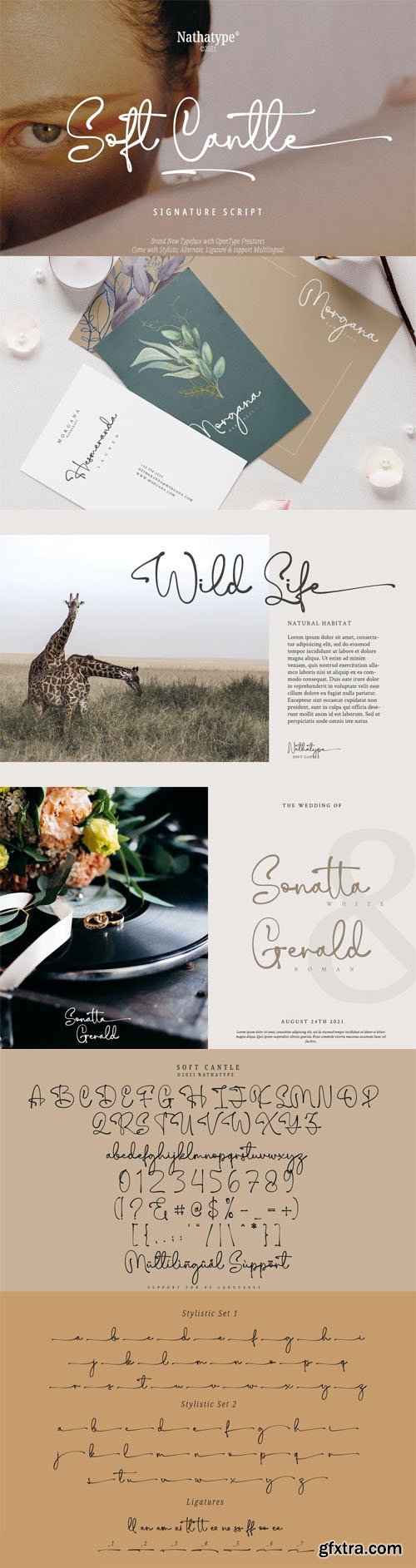 Soft Candle - Signature Script Font