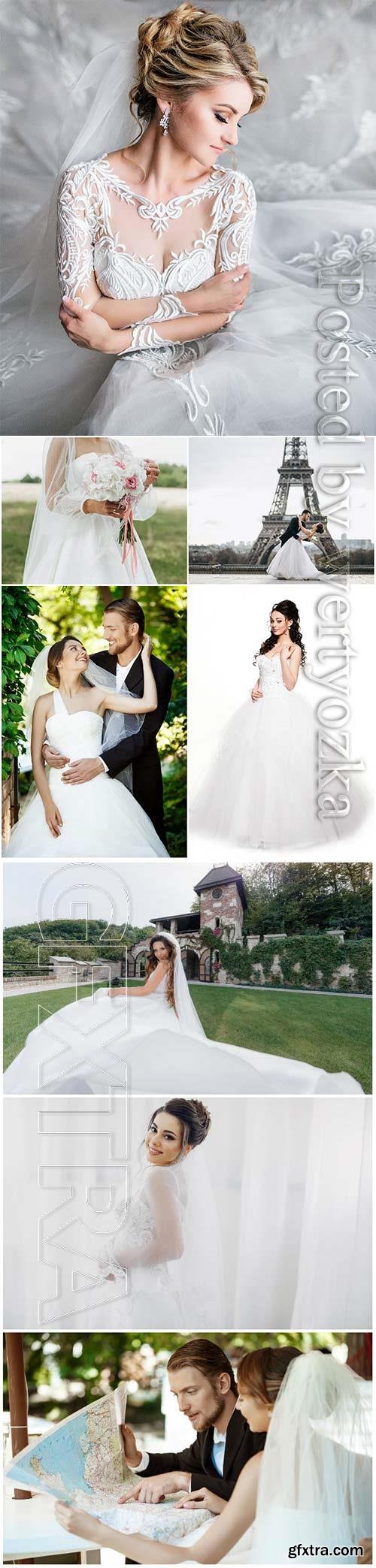 Brides in luxurious dresses and handsome men stock photo