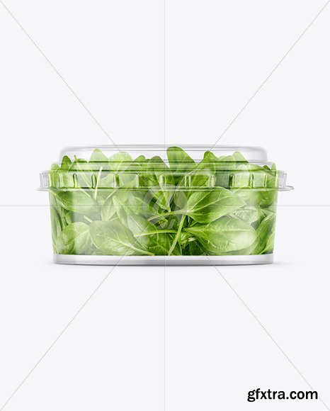Clear Plastic Container with Salad Mockup 86698