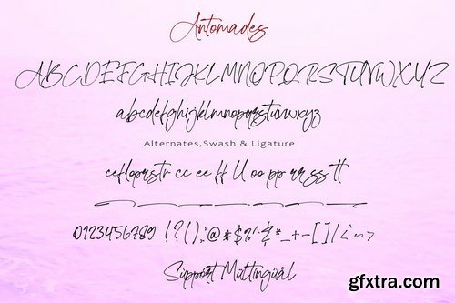 Antomades - Handwritten