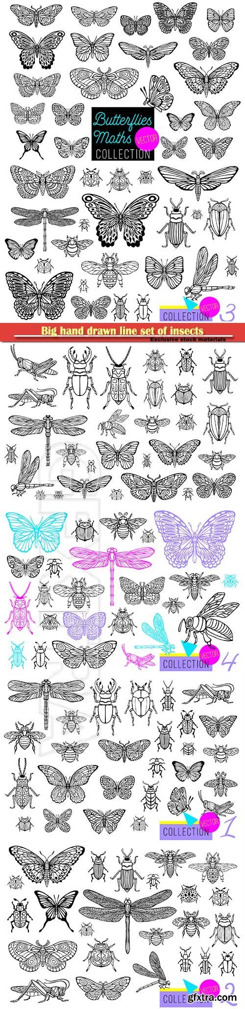 Big hand drawn line set of insects, beetles, honey bees, butterfly moth, bumblebee, wasp, dragonfly, grasshopper