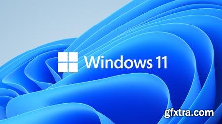 Windows 11 Pro Insider Preview Build 22000.184 Non-TPM 2.0 Compliant Activated