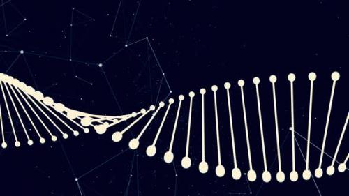 Videohive - Dna Strand and Plexus - Blue - 33412318 - 33412318