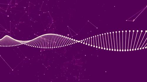 Videohive - Dna Strand and Plexus - Purple - 33412321 - 33412321