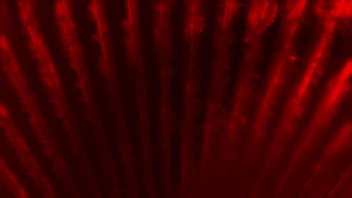 Videohive - 4K Red Abstract Background - 33427633 - 33427633