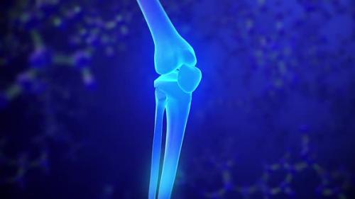 Videohive - Knee skeleton x-ray scan - 33428468 - 33428468