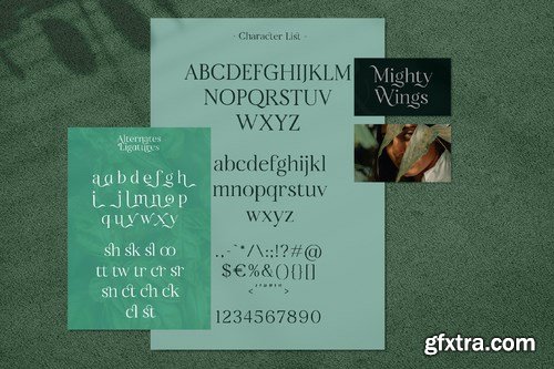 Mighty Wings - Elegant Classy Display Serif